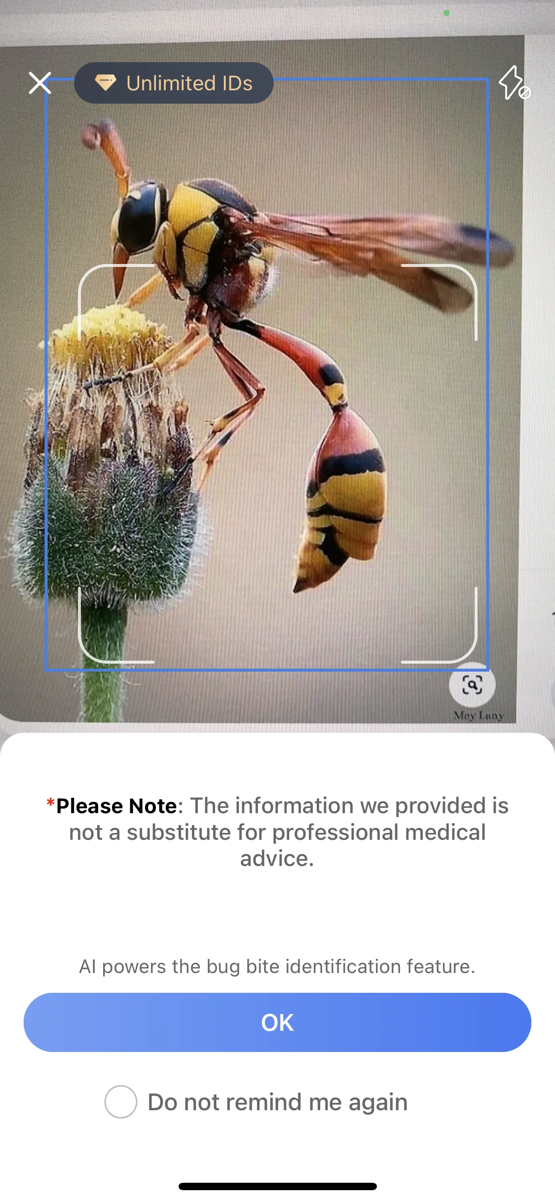 Test Image 2